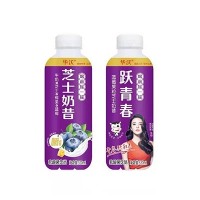 华沃蓝莓果粒芝士奶昔乳酸菌饮品520ml