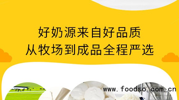 泰安意美食品有限公司粉色大包装_05