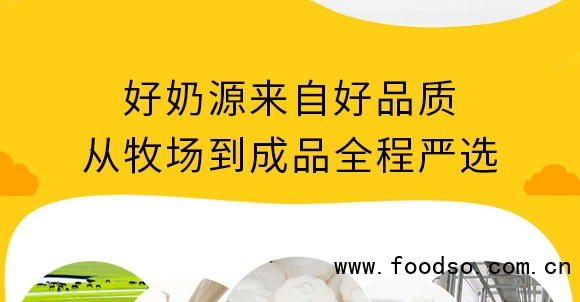 泰安意美食品有限公司_05