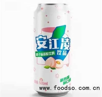 安江陵桃子味碳酸饮料500ml