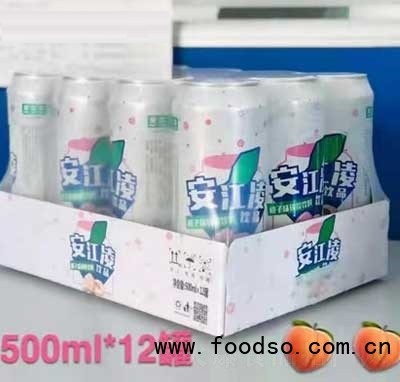 安江陵桃子味碳酸饮料500mlX12罐