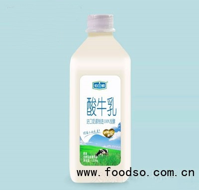 伯兰顿酸牛乳原味发酵乳酸菌饮品1.25kg