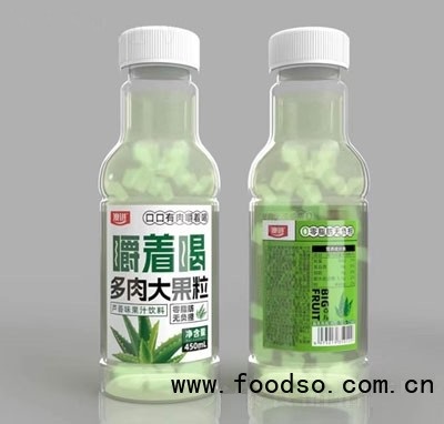 澳进芦荟味果汁饮料果粒果汁450ml