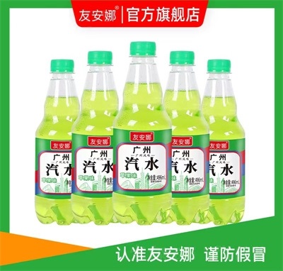 友安娜广州汽水碳酸饮料苹果味496ml