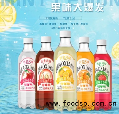 梨乡禧源西安老汽水碳酸饮料480ml